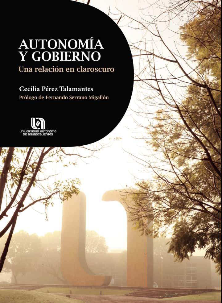Autonomía y gobierno: Una relación en claroscuro