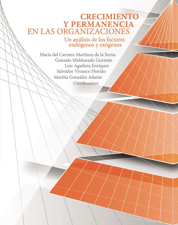 Crecimiento y permanencia en las organizaciones.: Un análisis de los factores endógenos y exógenos.