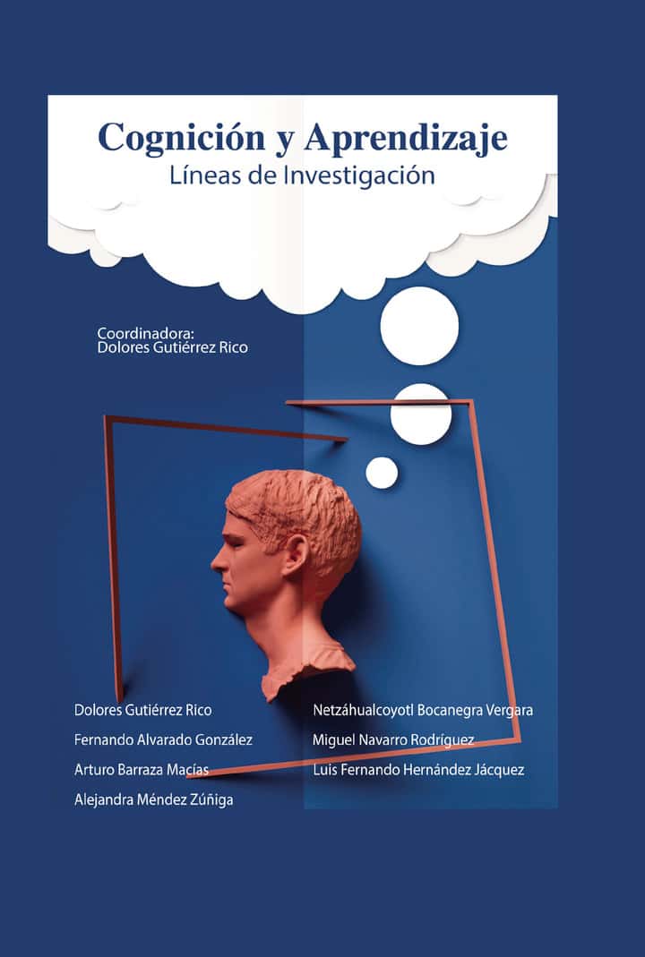Cognición y aprendizaje: Lineas de investigacion