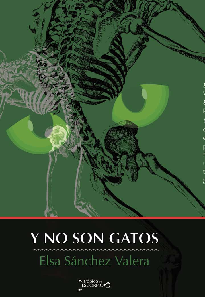 Y no son gatos