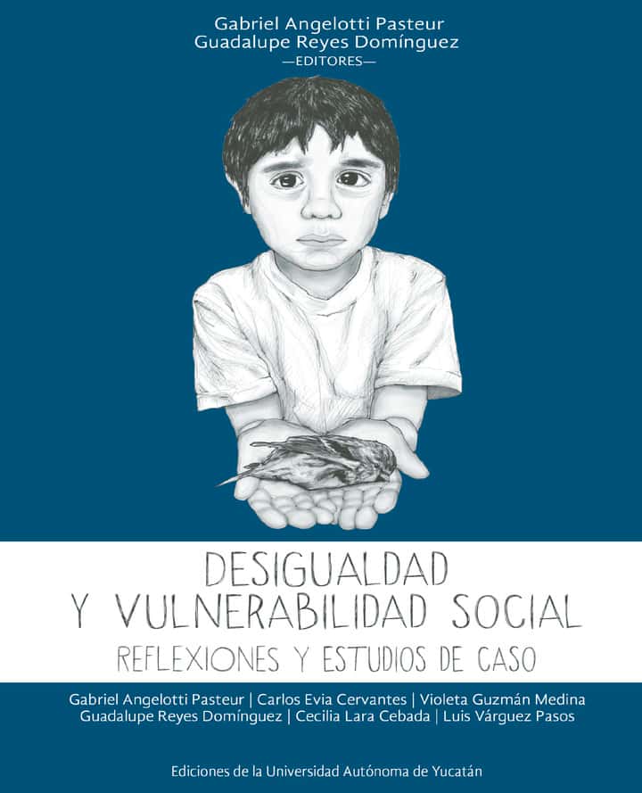 Desigualdad y vulnerabilidad social: Reflexiones y estudios de caso