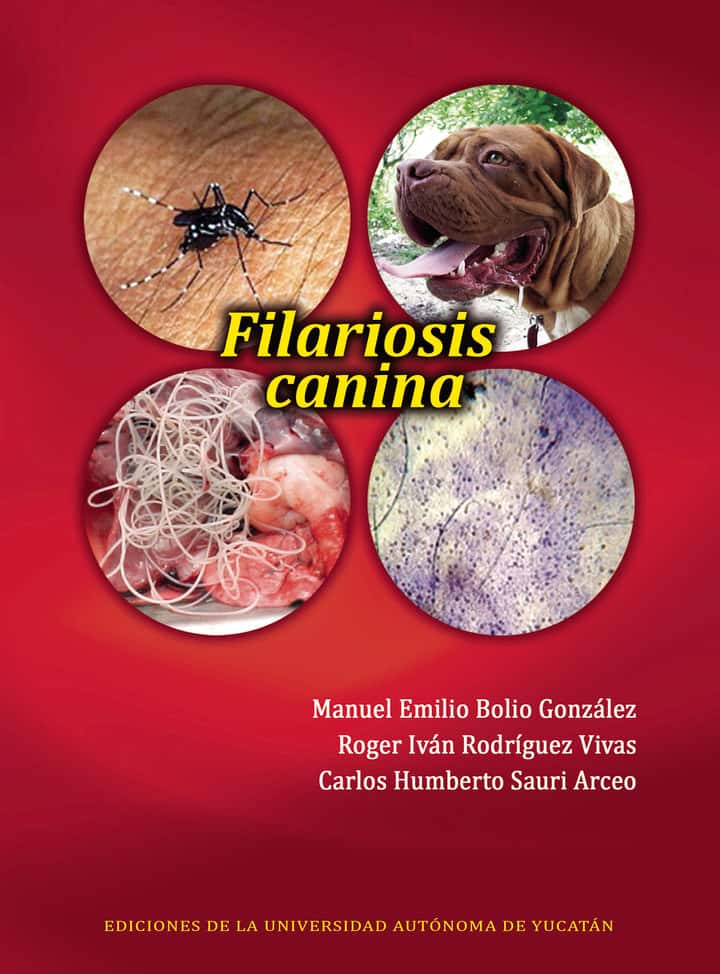 Filariosis canina