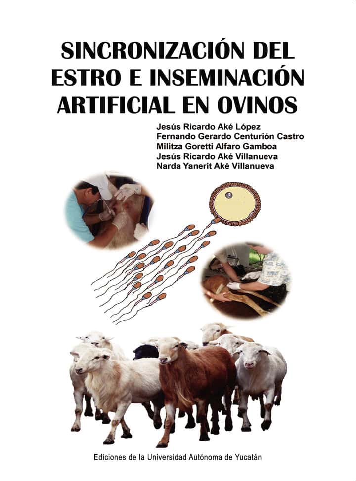 Sincronización del estro e inseminación artificial en ovinos
