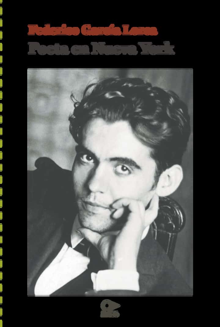 Poeta en Nueva York: (1929-1930)