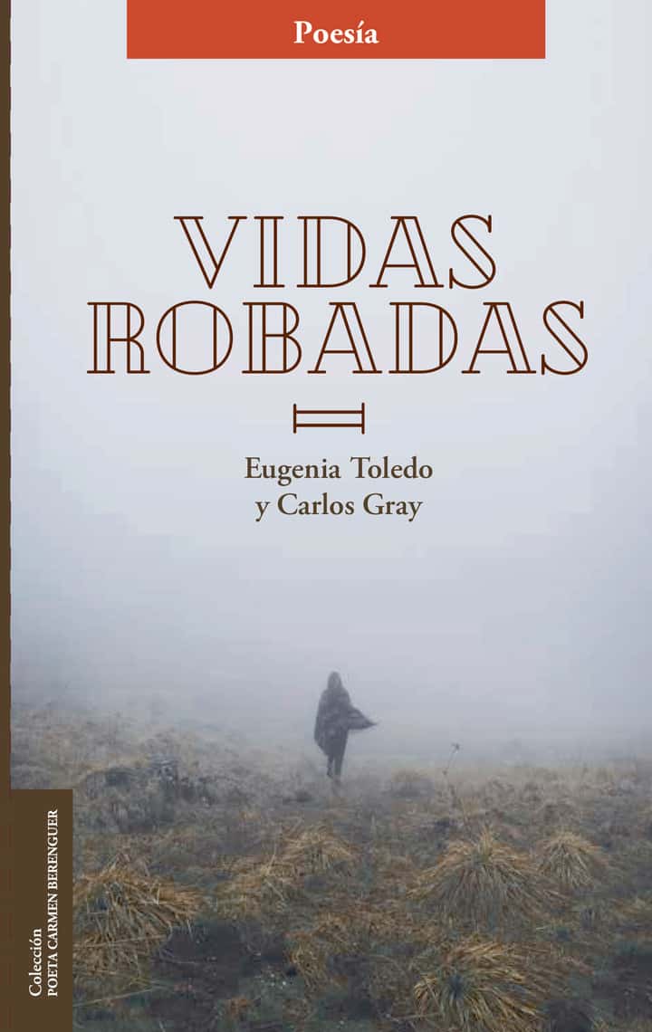 Vidas robadas