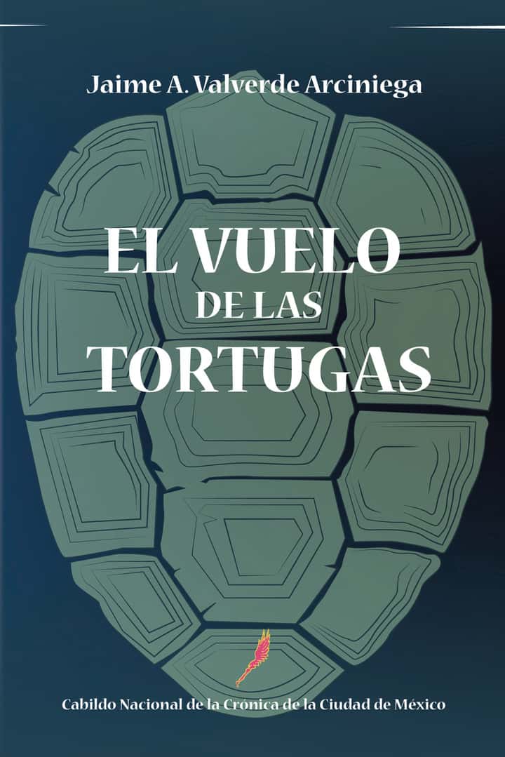 El vuelo de las tortugas