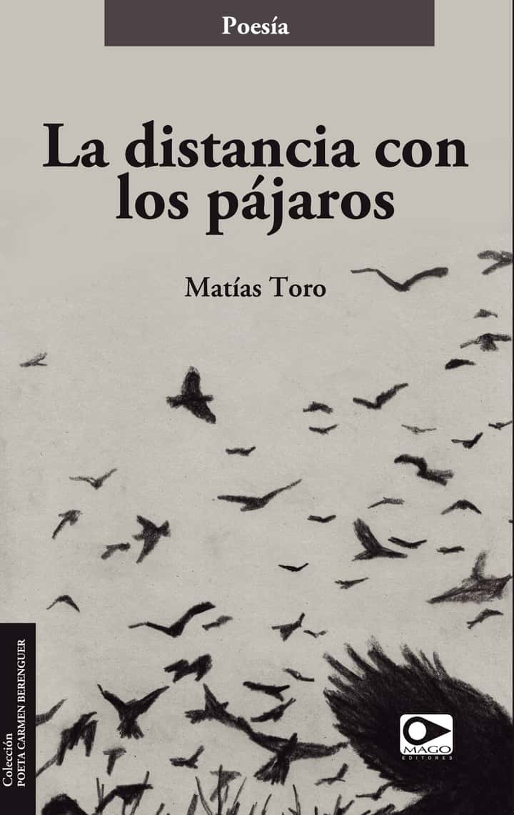 La distancia con los pájaros