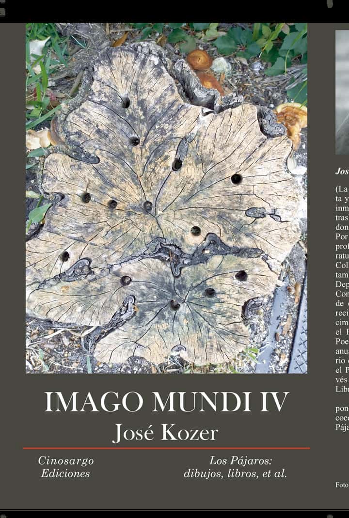 Imago Mundi IV