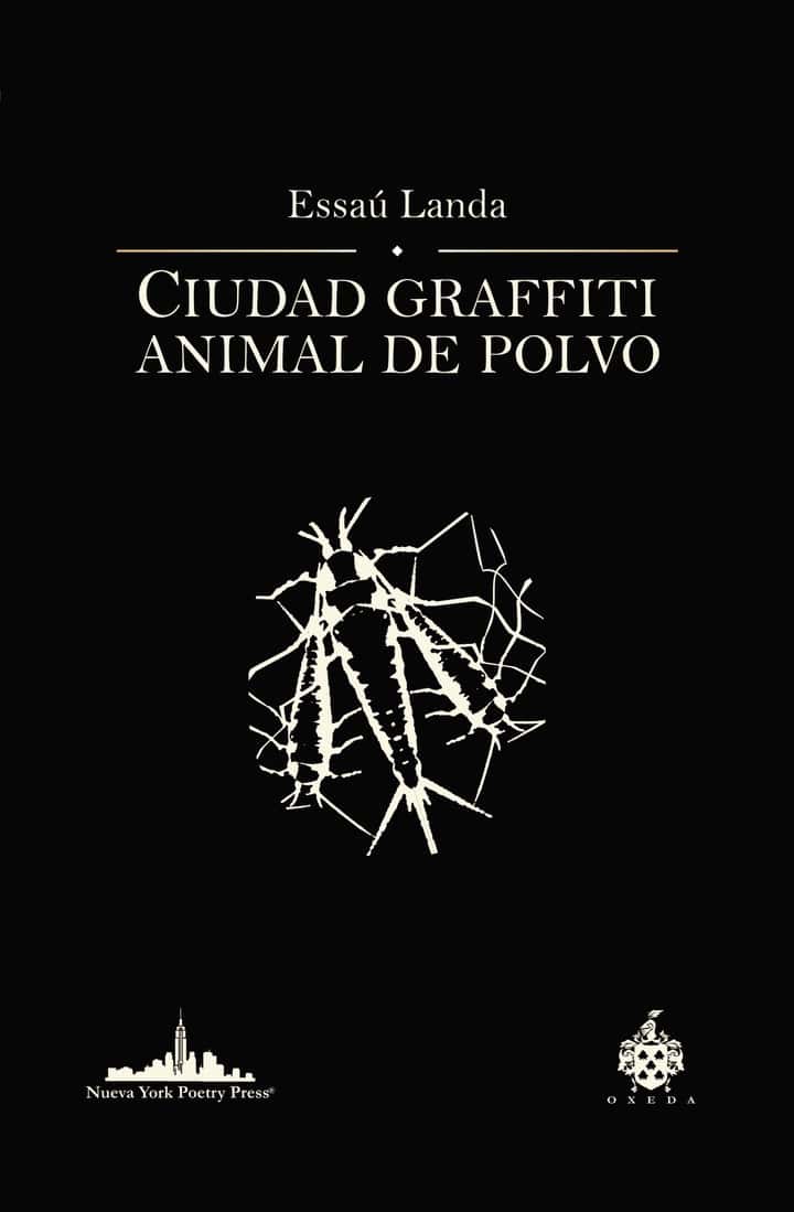 Ciudad graffiti animal de polvo