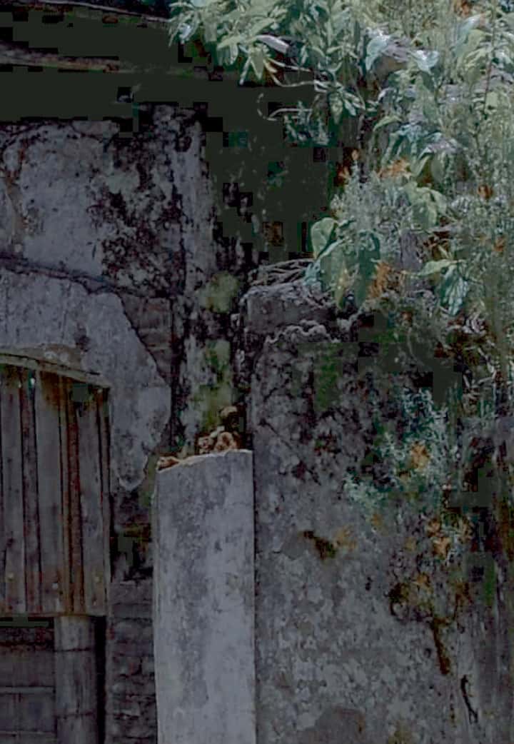 Puertas de la noche