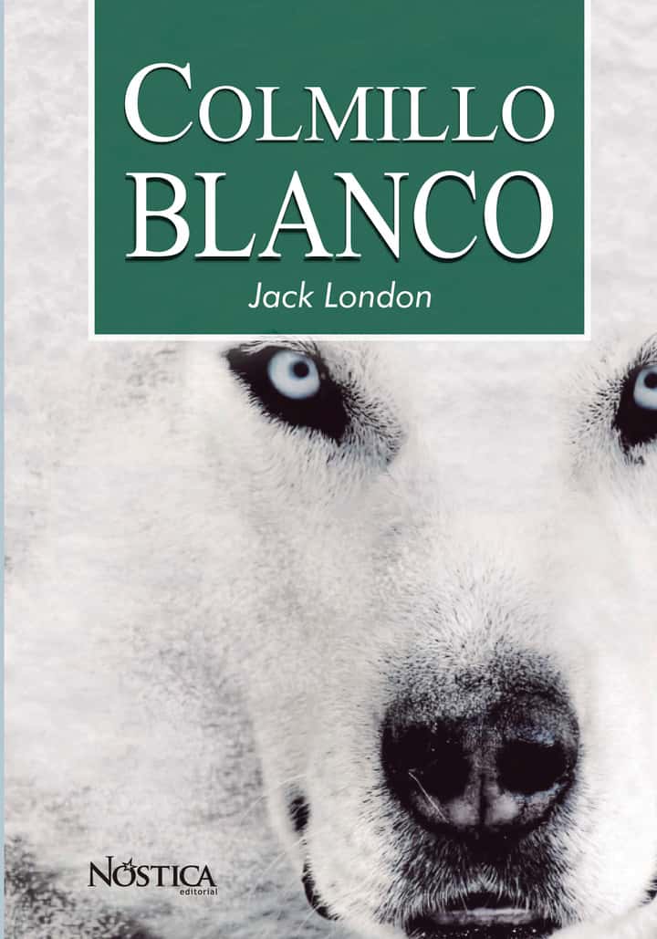 Colmillo blanco