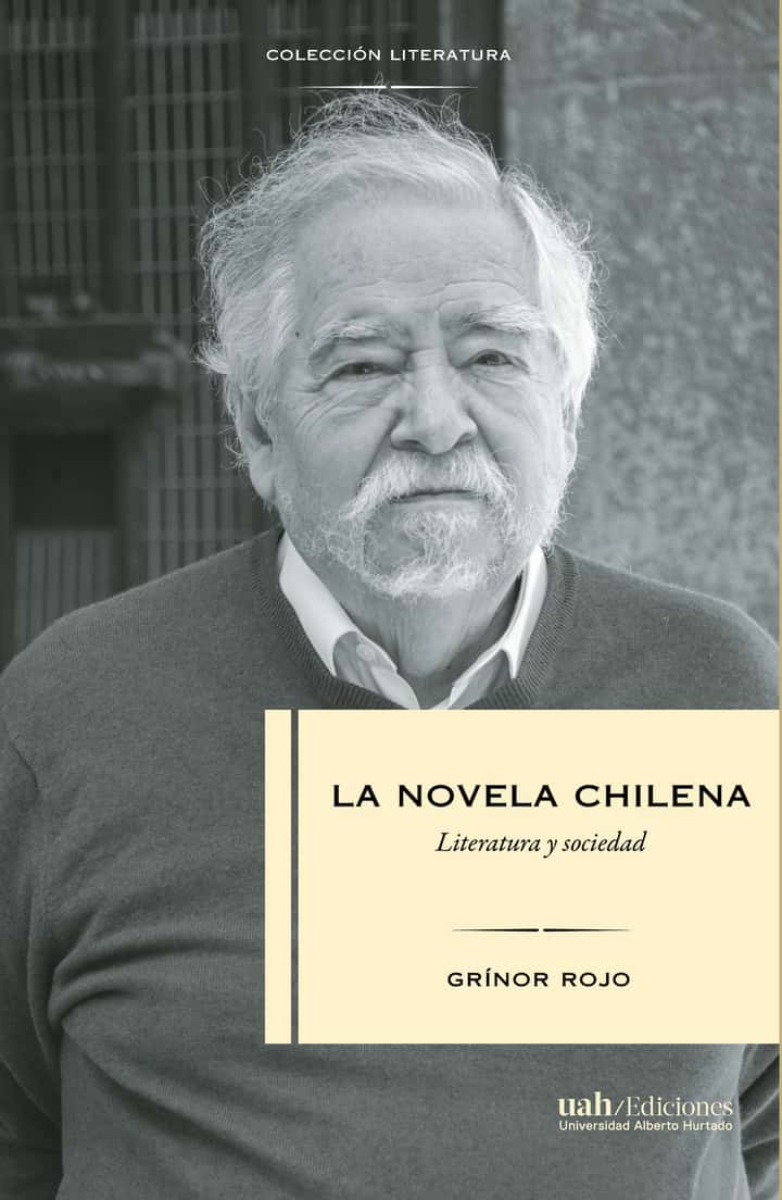 La novela chilena: Literatura y sociedad