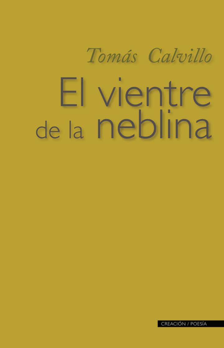 El vientre de la neblina