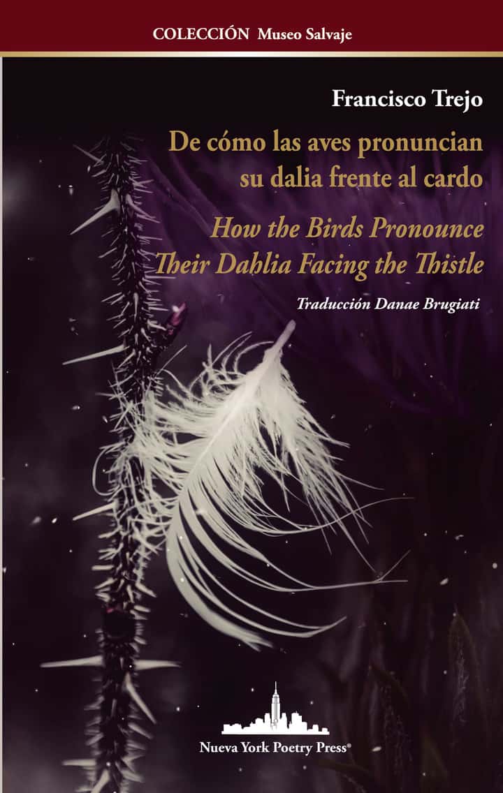 De cómo las aves pronuncian su dalia frente al cardo / How the Birds Pronounce Their Dahlia Facing the Thistle