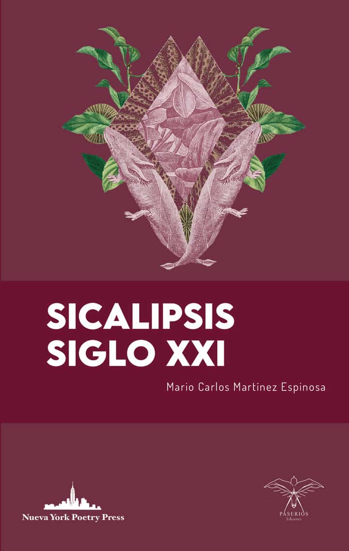 Sicalipsis siglo XXI