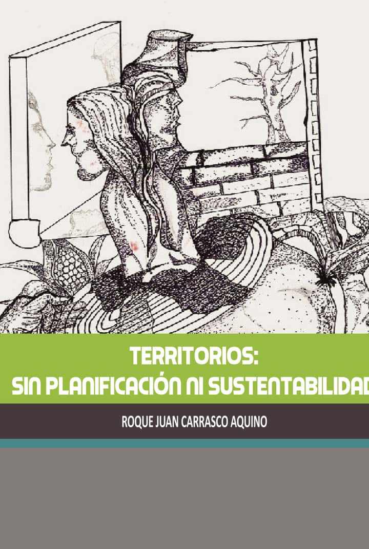 Territorios: sin planificación ni sustentabilidad