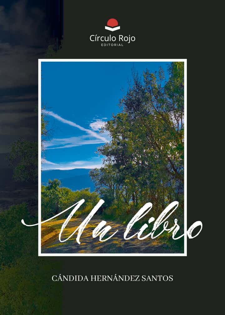 Un libro