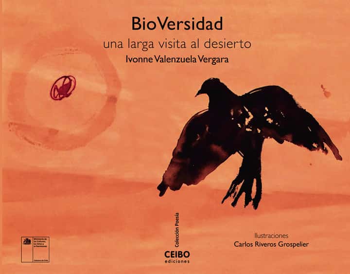 BioVersidad: una larga visita al desierto