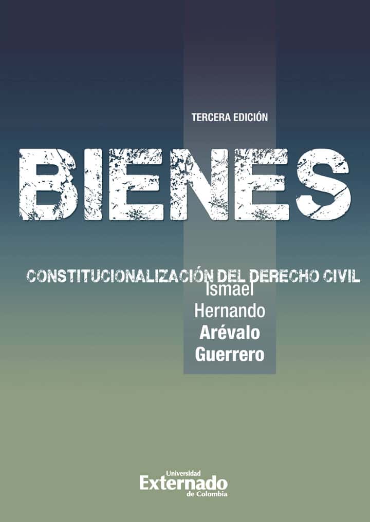 Bienes: Constitucionalización del derecho civil