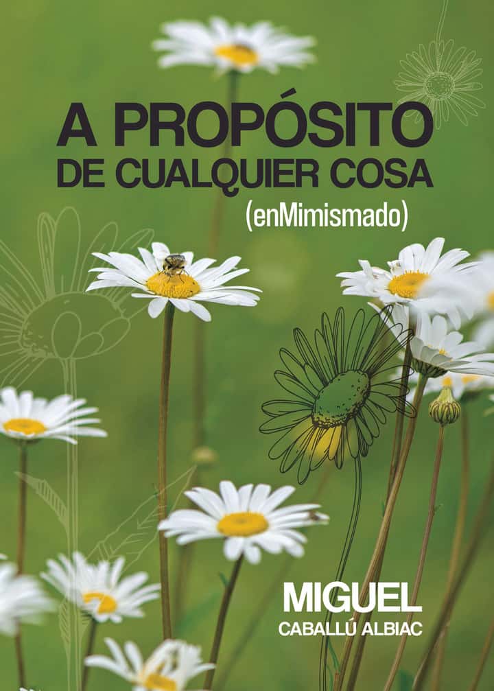 A propósito de cualquier cosa (enMimismado)
