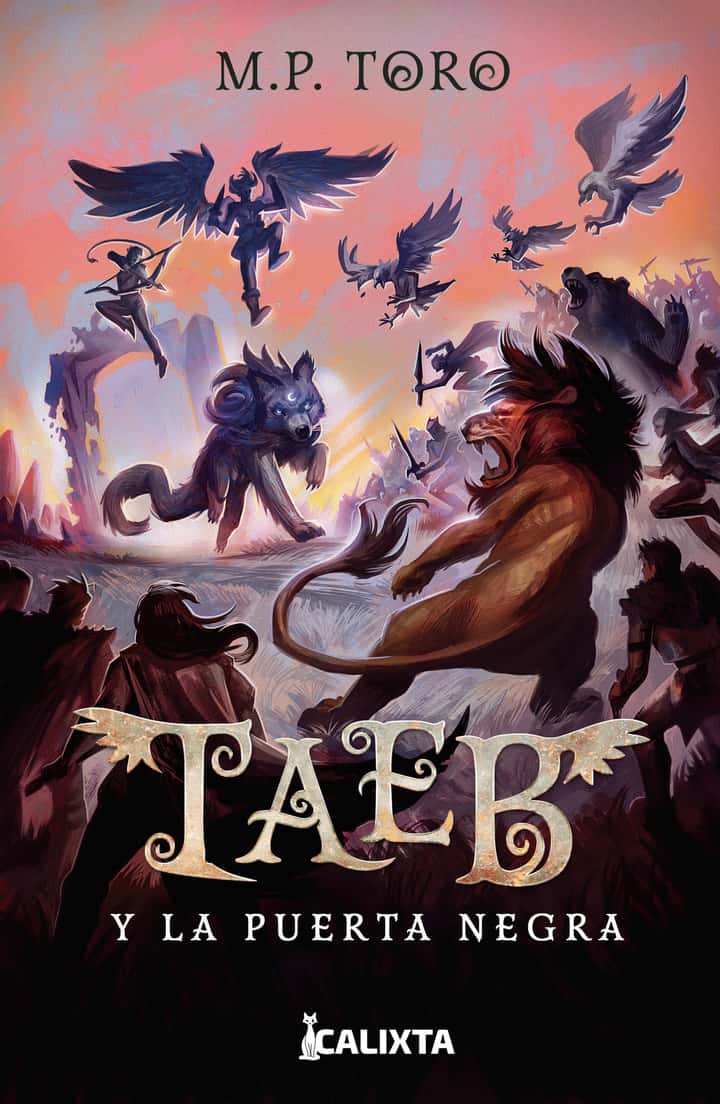 Taeb y la puerta negra