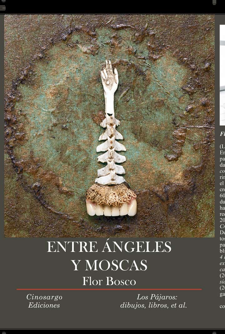 Entre ángeles y moscas