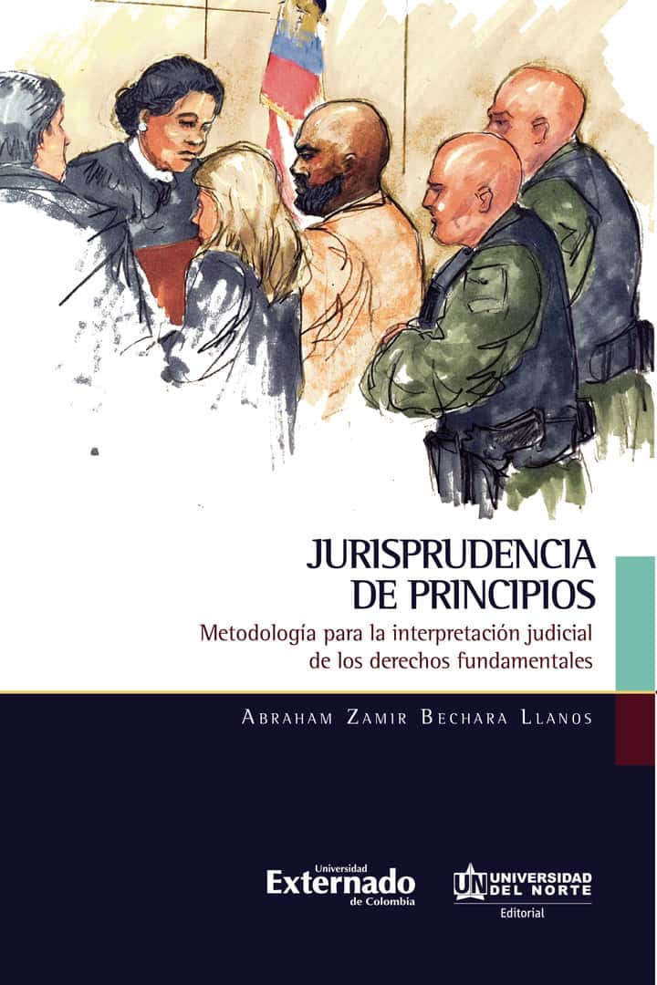Jurisprudencia de principios: Metodología para la interpretación judicial de los derechos fundamentales