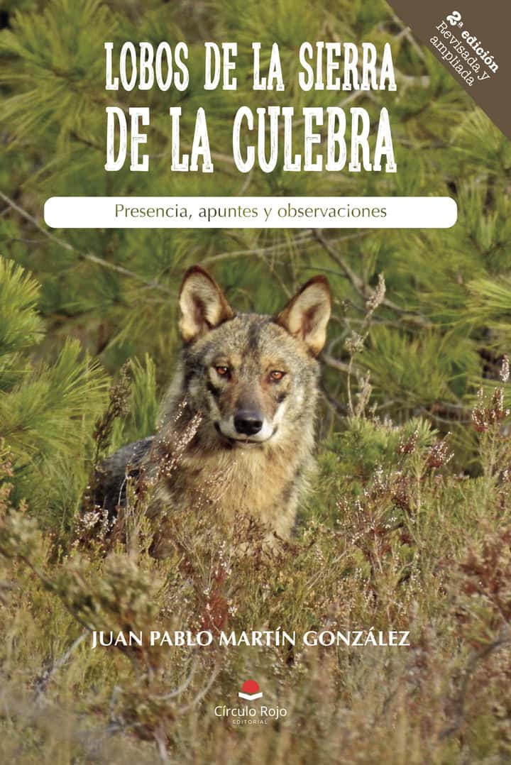 LOBOS DE LA SIERRA DE LA CULEBRA. Presencia, apuntes y observaciones