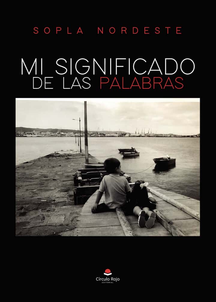 Mi Significado de las Palabras