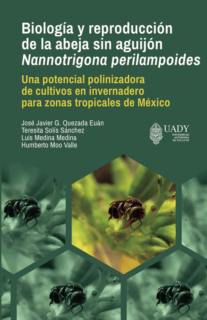 Biología y reproducción de la abeja sin aguijón Nannotrigona perilampoides.: Una potencial polinizadora de cultivos en invernadero para zonas tropicales de México