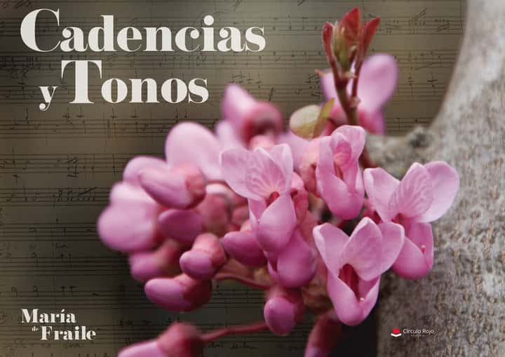 Cadencias y tonos