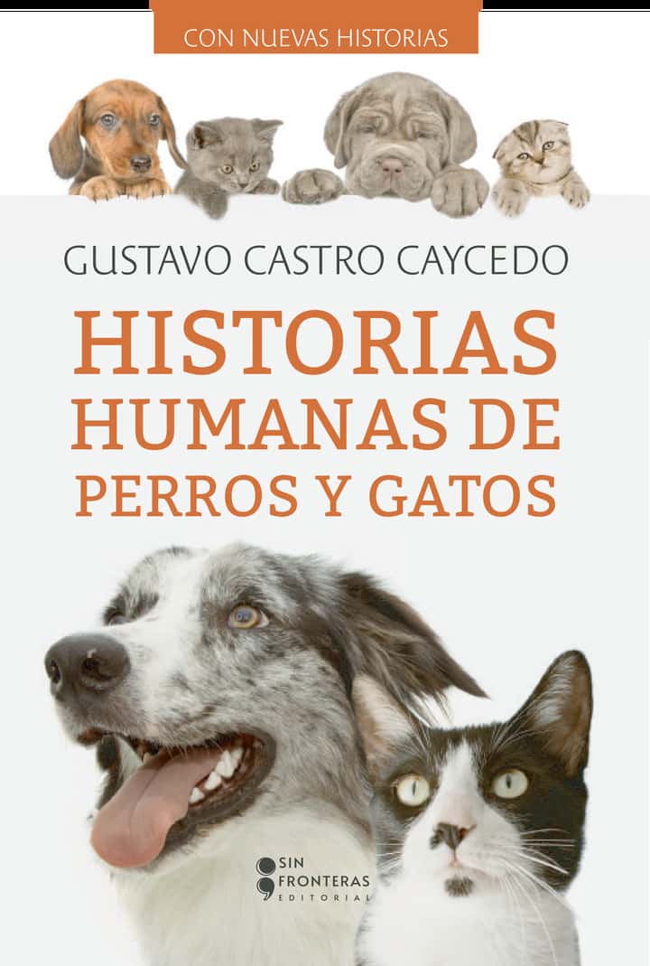 Historias humanas perros y gatos