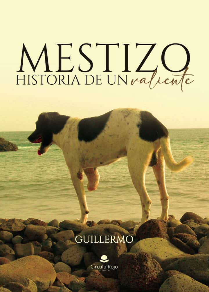Mestizo, historia de un valiente