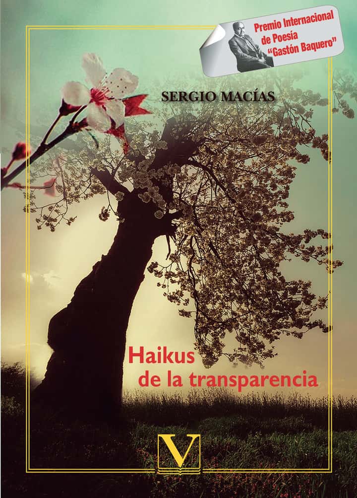 Haikus de la transparencia