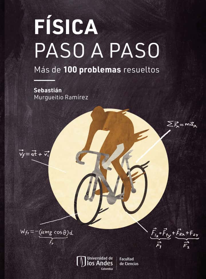 Física paso a paso. Más de 100 problemas resueltos