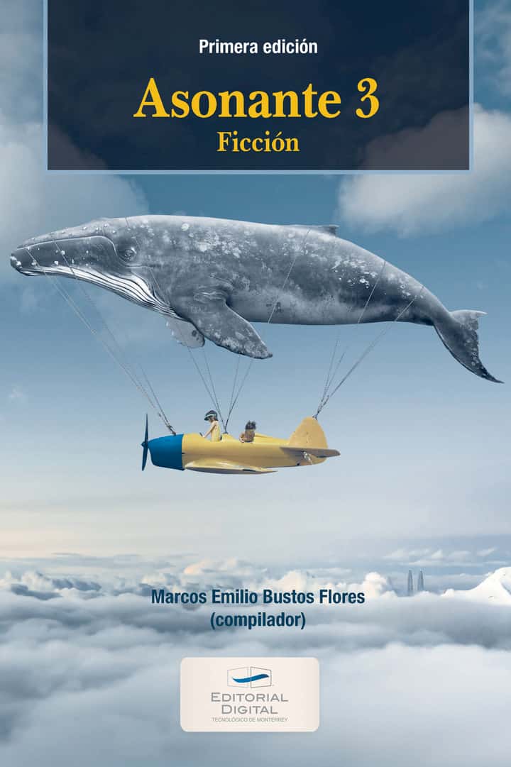 Asonante 3. Ficción