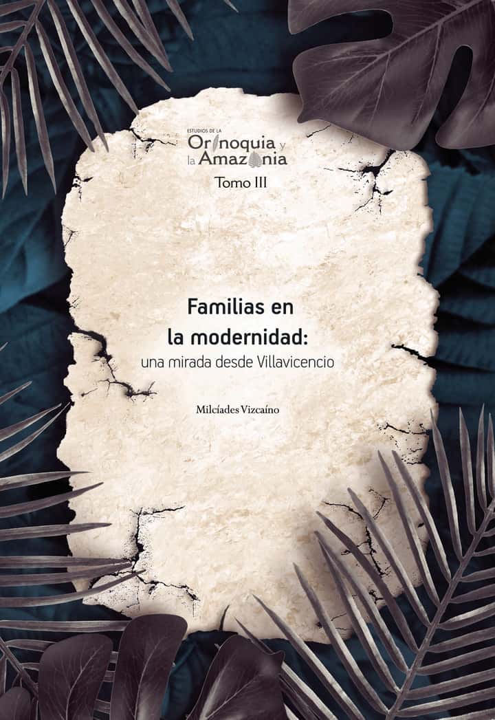 Familias en la modernidad: una mirada desde Villavicencio