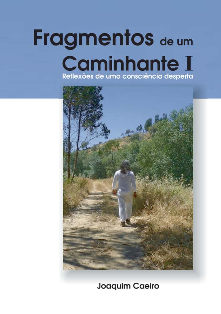 Fragmentos de um Caminhante I: Reflexões de uma consciência desperta