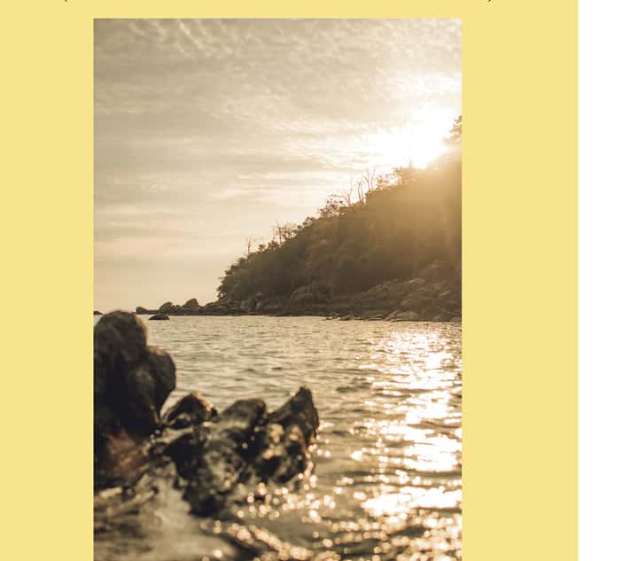 Delante del mar brota la primavera: (poemas reunidos de Hai Zi)