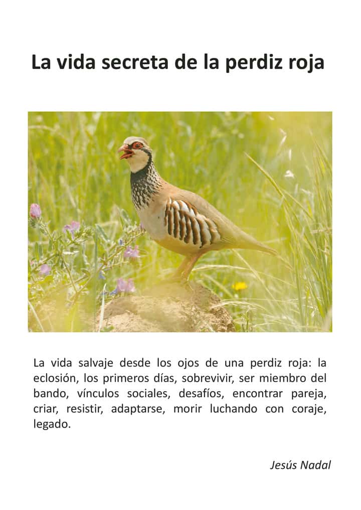 LA VIDA SECRETA DE LA PERDIZ ROJA