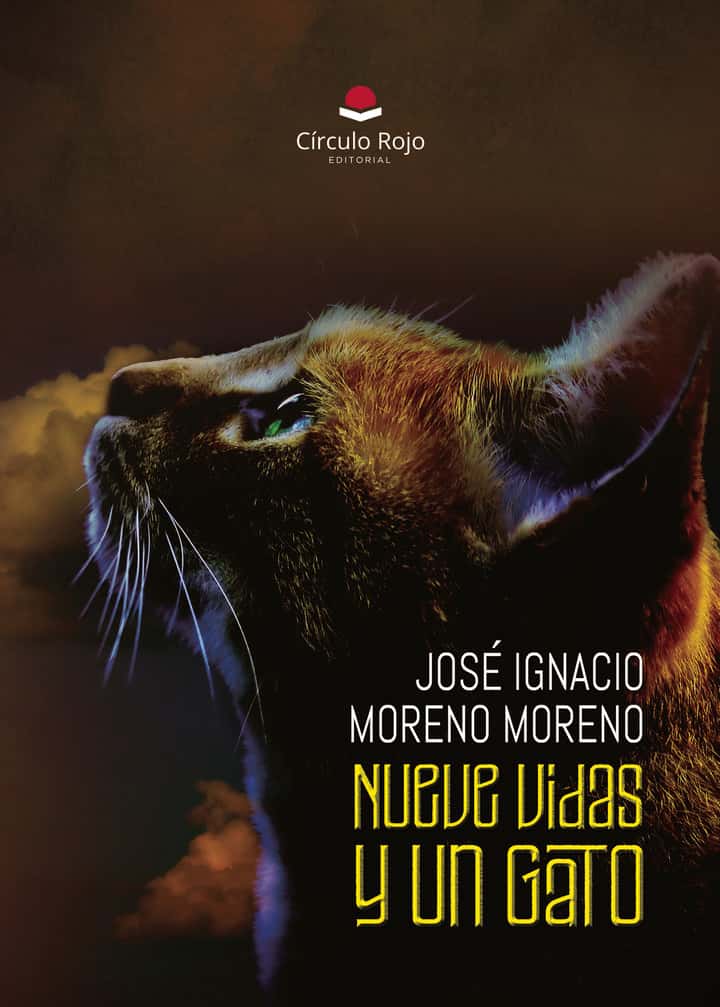 Nueve Vidas y Un Gato