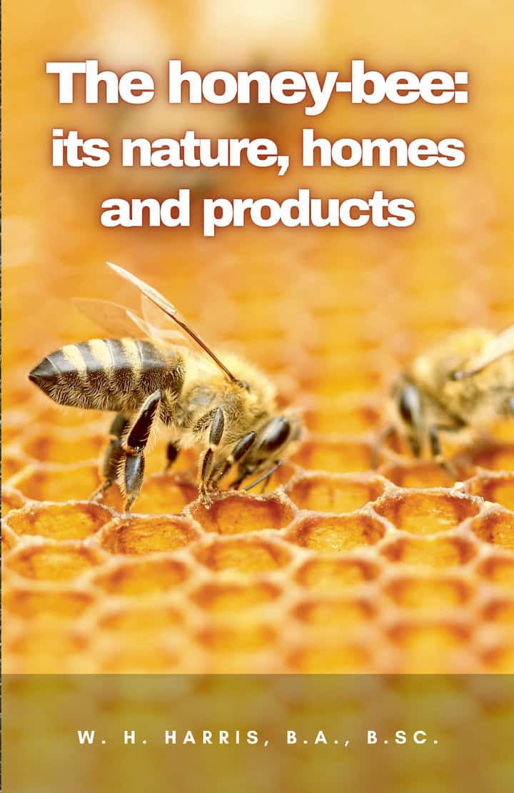 The honey-bee: its nature, homes and products