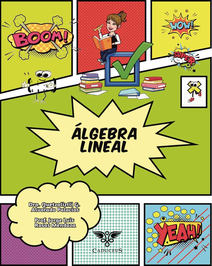 Álgebra lineal: Álgebra lineal