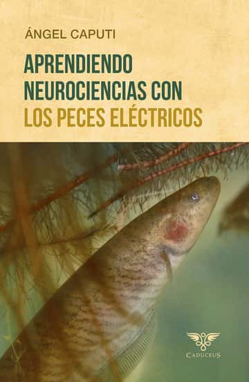 Aprendiendo neurociencias con los peces eléctricos