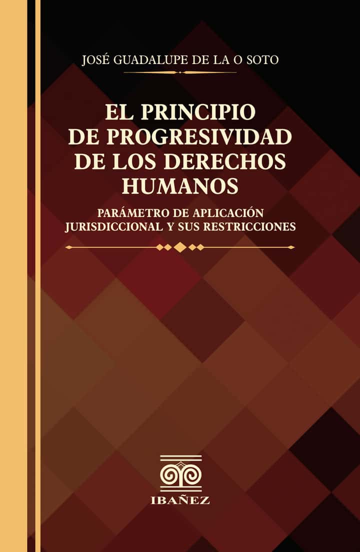 El principio de progresividad de los derechos humanos