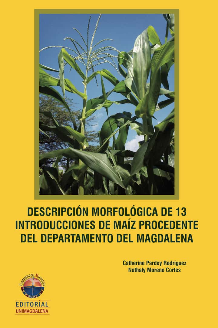 Descripción morfológica de 13 introducciones de maiz procedente del departamento del Magdalena