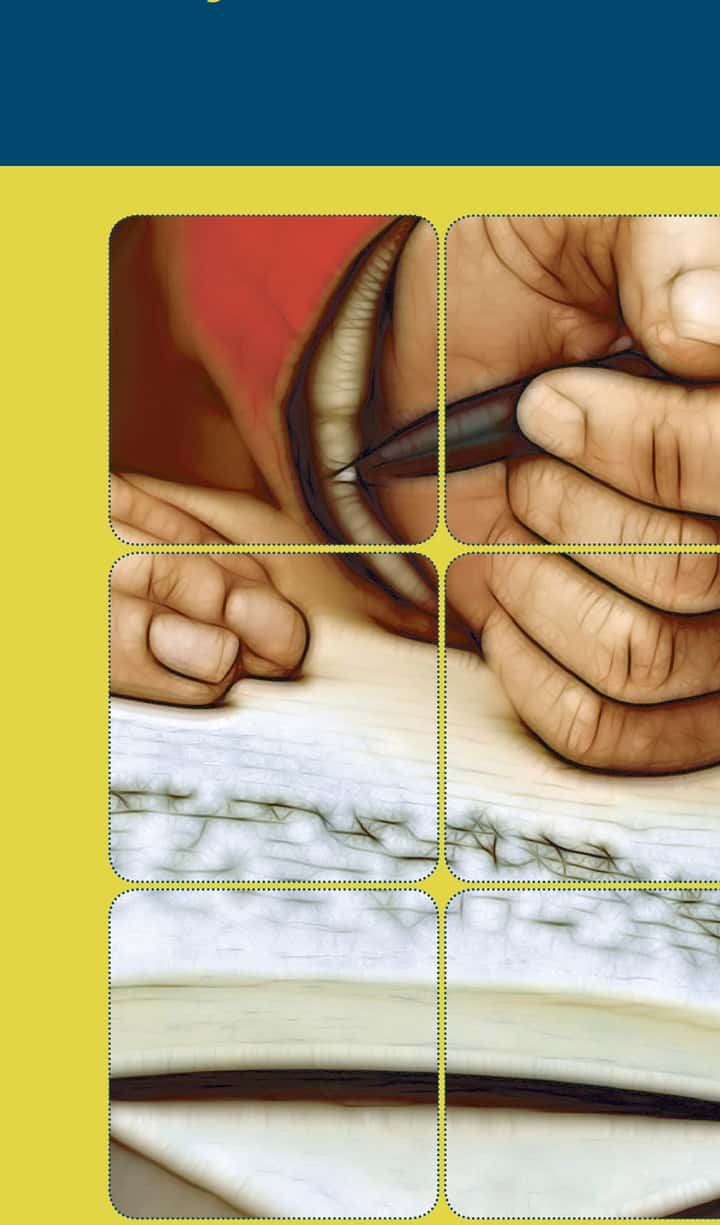 Los métodos de enseñanza y los seminarios investigativos