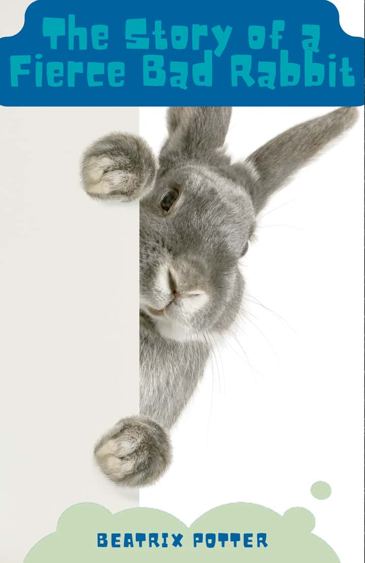 The Story of A Fierce Bad Rabbit