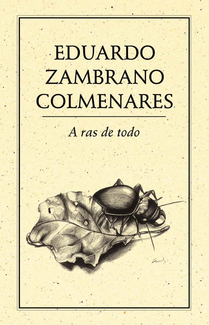 A ras de todo
