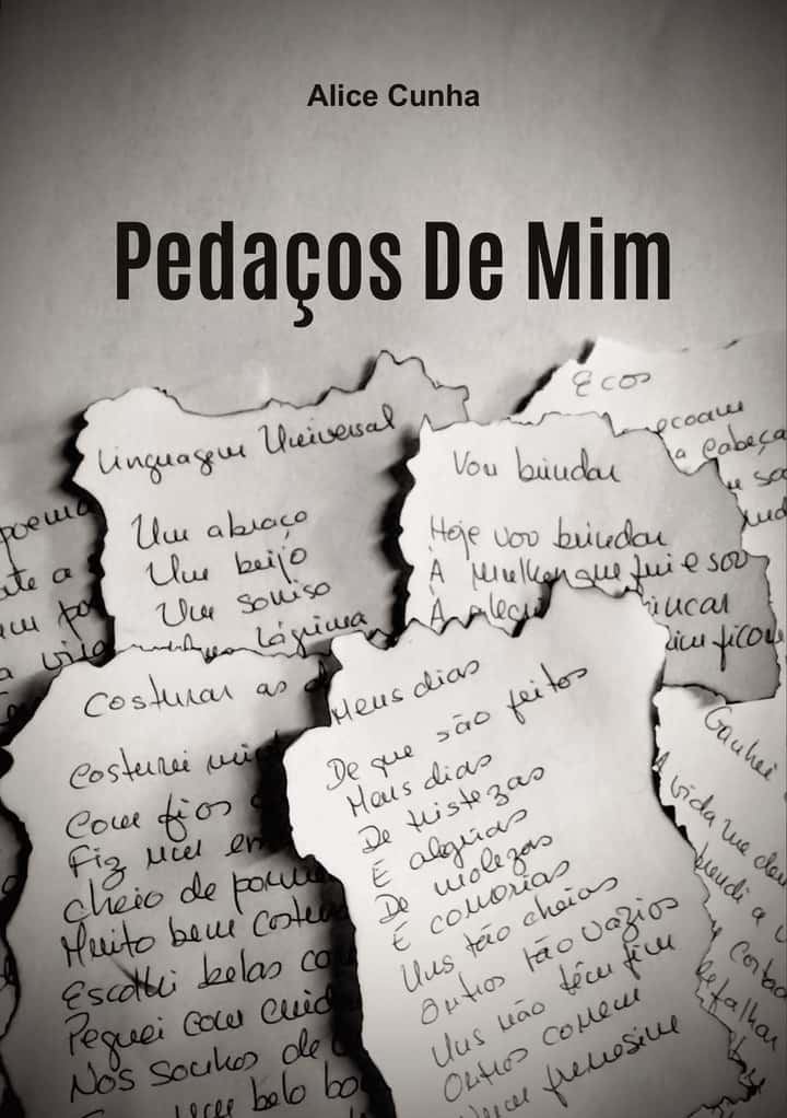 Pedaços De Mim
